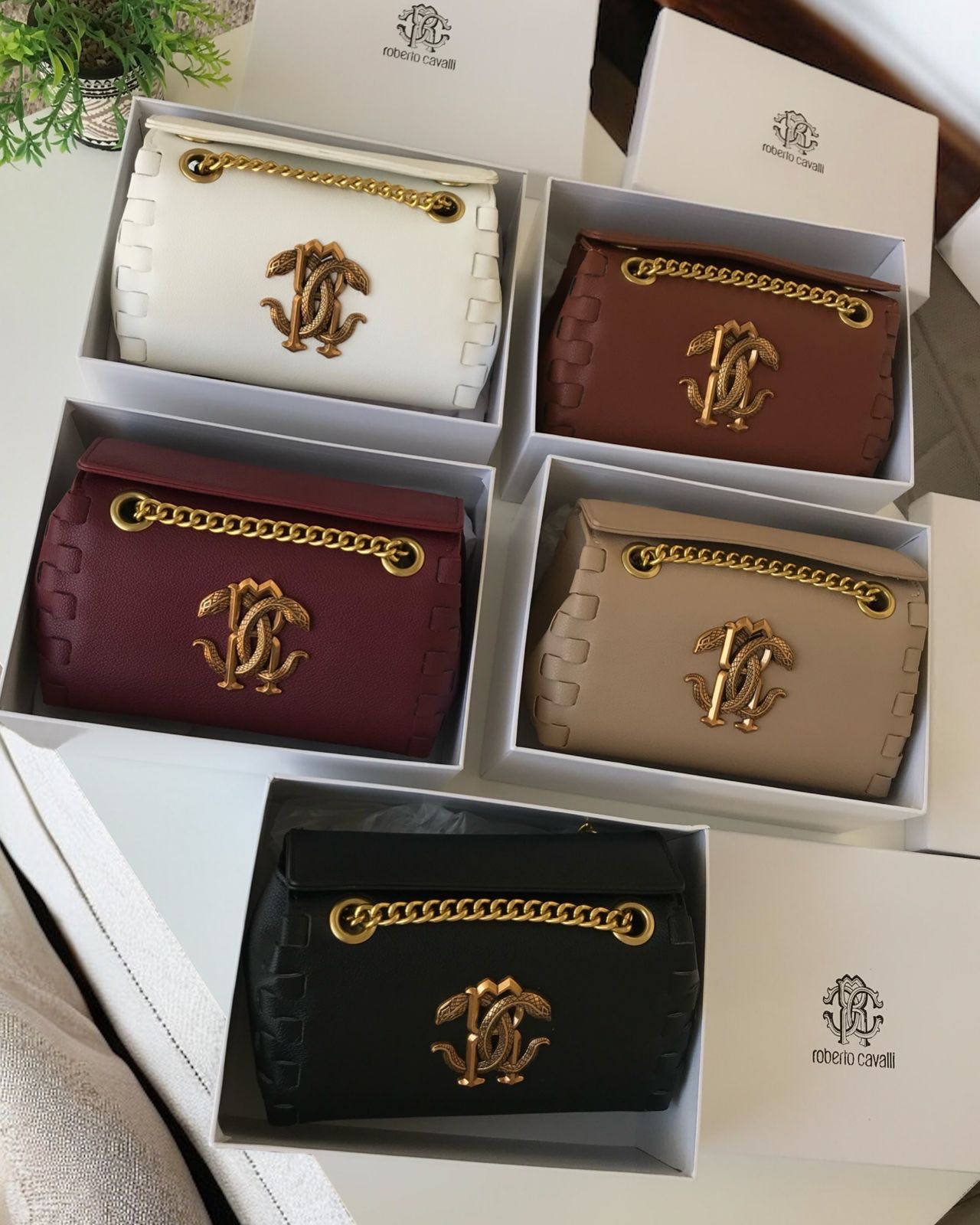 شنطه نسائيه