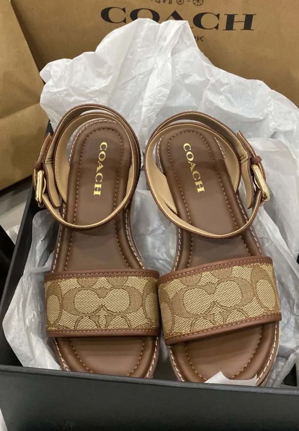 حذاء ماركة coach للبيع